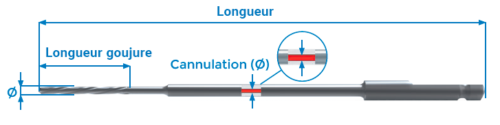 Foret cannulé